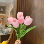 Tulipanes - Rosa Set 7