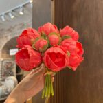 Rosa Inglesa - Rosa Set 8